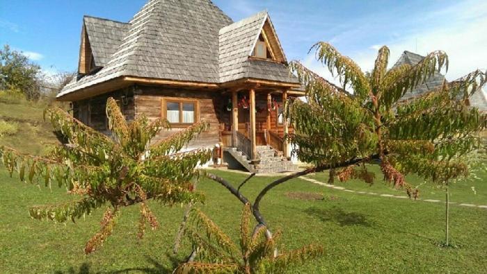 Casele De Vacanta Luca & Vicentiu Botiza Ngoại thất bức ảnh